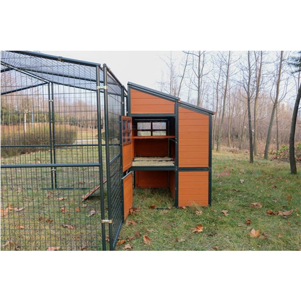 Walk-In Weatherproof Large Chicken Coop