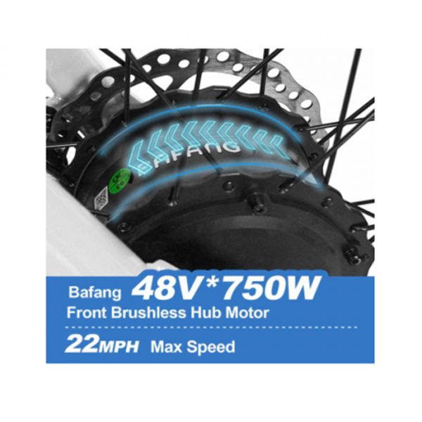 Addmotor Motan Electric Tricycle Adult, 750W 48V 17.5Ah Removable Battery, 20 Inch Fat Tire 3 Wheel Fat Tire Electric Bike, M-360 Electric Tricycle 350 lbs Carry Back Basket and Bag