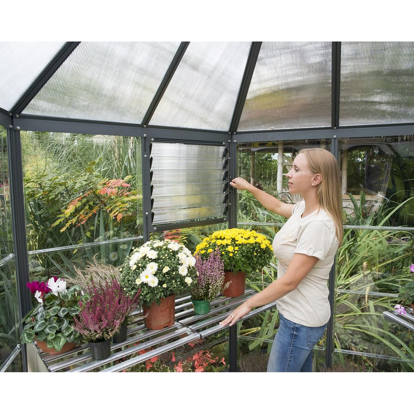 OASIS HEXAGONAL GREENHOUSE 2.5m
